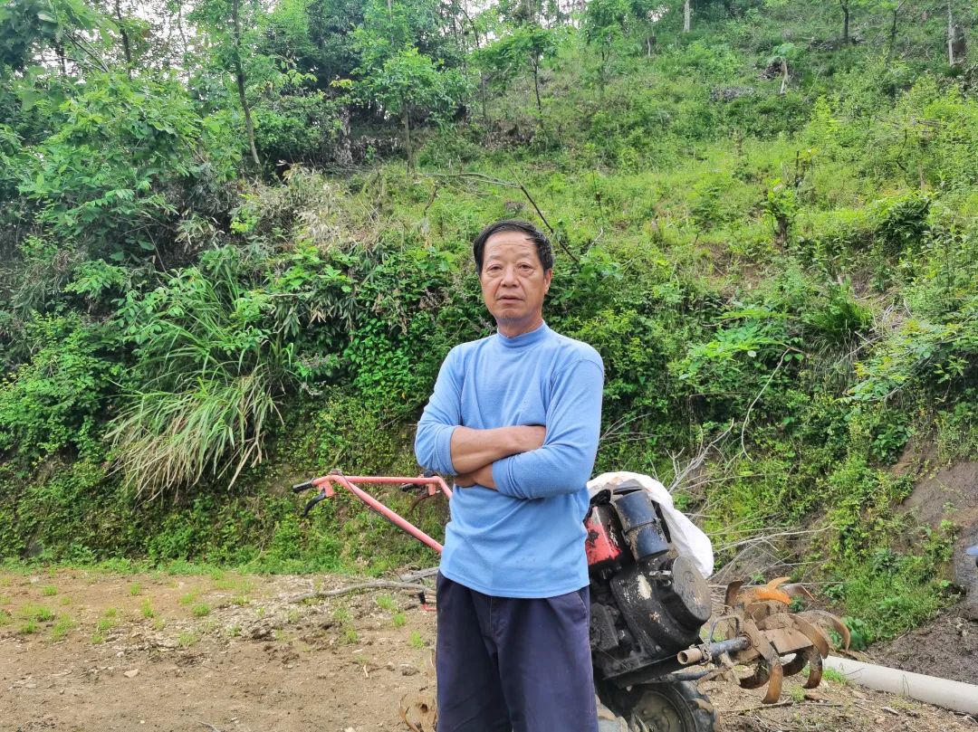土山羊养殖致富_致富经山羊养殖技术视频_养土山羊的利润与成本