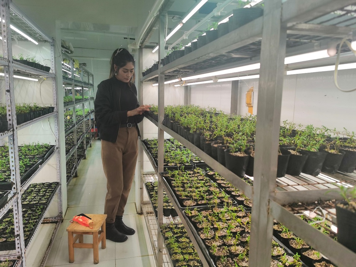 许昌种植结构_许昌种植什么作物_许昌种植致富果