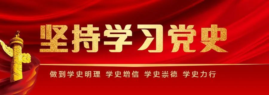 种植20亩地致富案例_种植致富项目宁县_农村致富新项目种植业