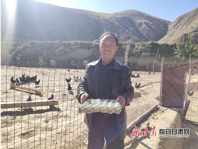 扶贫产业育出致富“金凤凰”