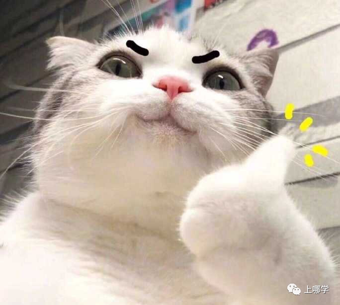 上海这个区升学超轻松！小升初全区电脑派位！从幼儿园到高中多所学校享誉全市！