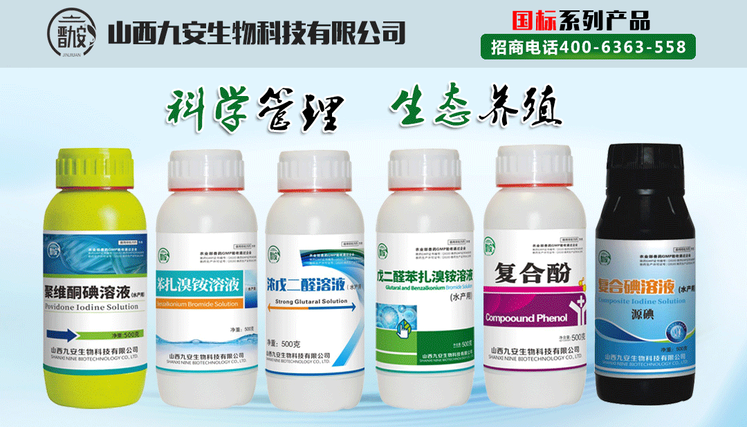 养这​条鱼赚钱真难！爆发性死亡、肠炎、黑身闭口、倒藻、泛底随时要祸害