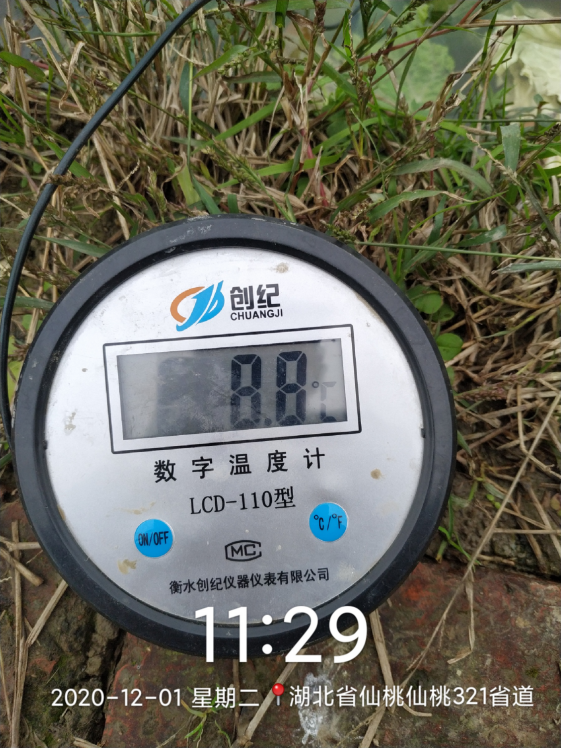 塌陷区养鱼致富经_致富网养鱼_致富经水库养鱼