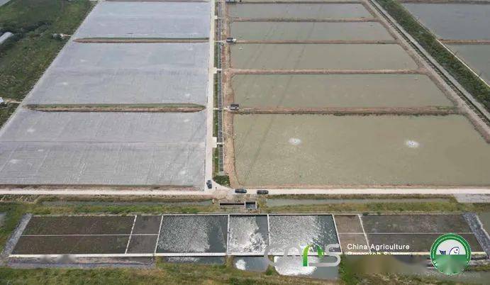 土布鱼养殖技术_有没有土布鱼养殖的_养殖鱼土布技术视频教程