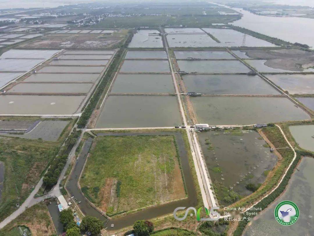 养殖鱼土布技术视频教程_土布鱼养殖技术_有没有土布鱼养殖的