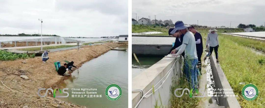 土布鱼养殖技术_有没有土布鱼养殖的_养殖鱼土布技术视频教程