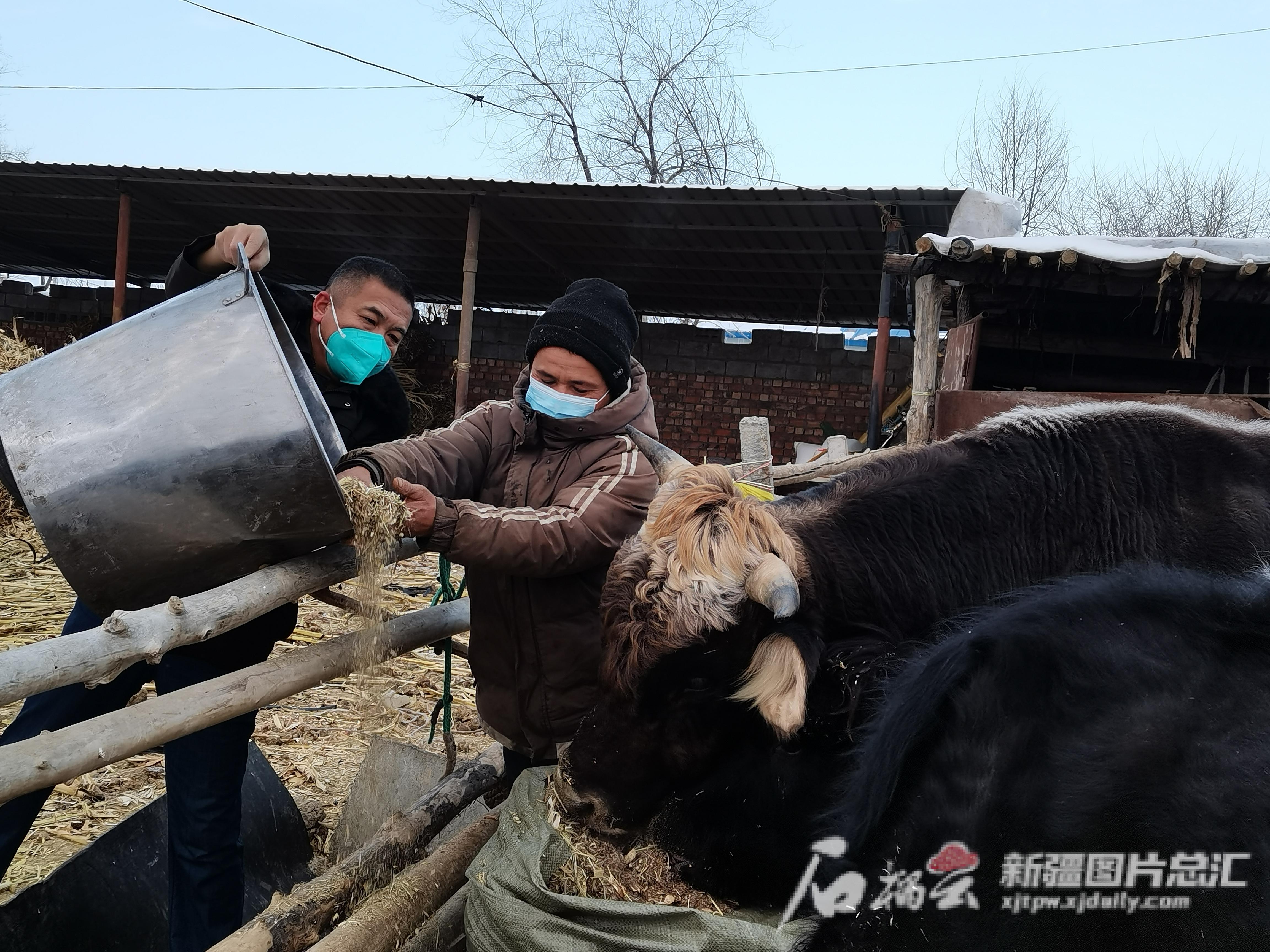 致富养殖信息_发展养殖业是科技致富吗_高科技养殖业