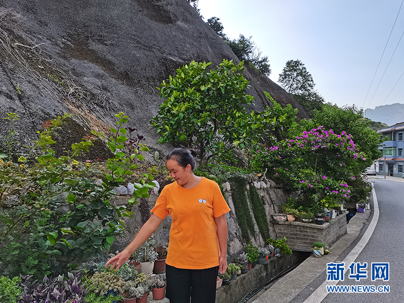 致富宝种植柑橘_种植柑橘赚钱吗_柑橘种植效益
