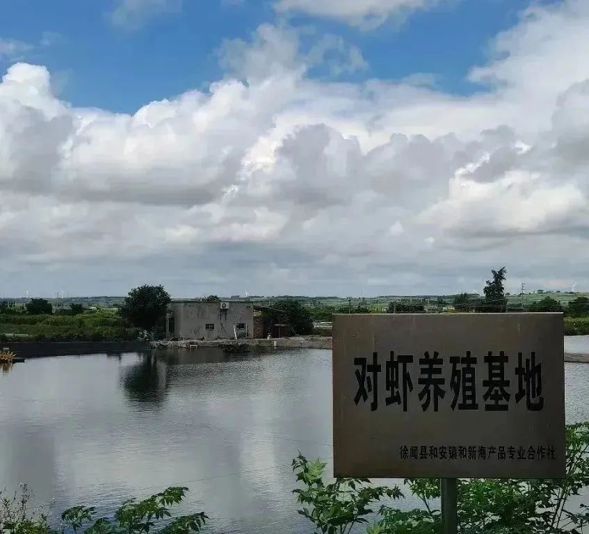 智慧养殖致富行业_致富养殖智慧行业怎么样_致富养殖信息