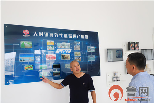 致富经蘑菇种植视频2019_杏鲍菇种植致富方法图片_致富经香菇