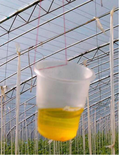 农业致富种植网_致富种植农业网名大全_致富种植视频全集
