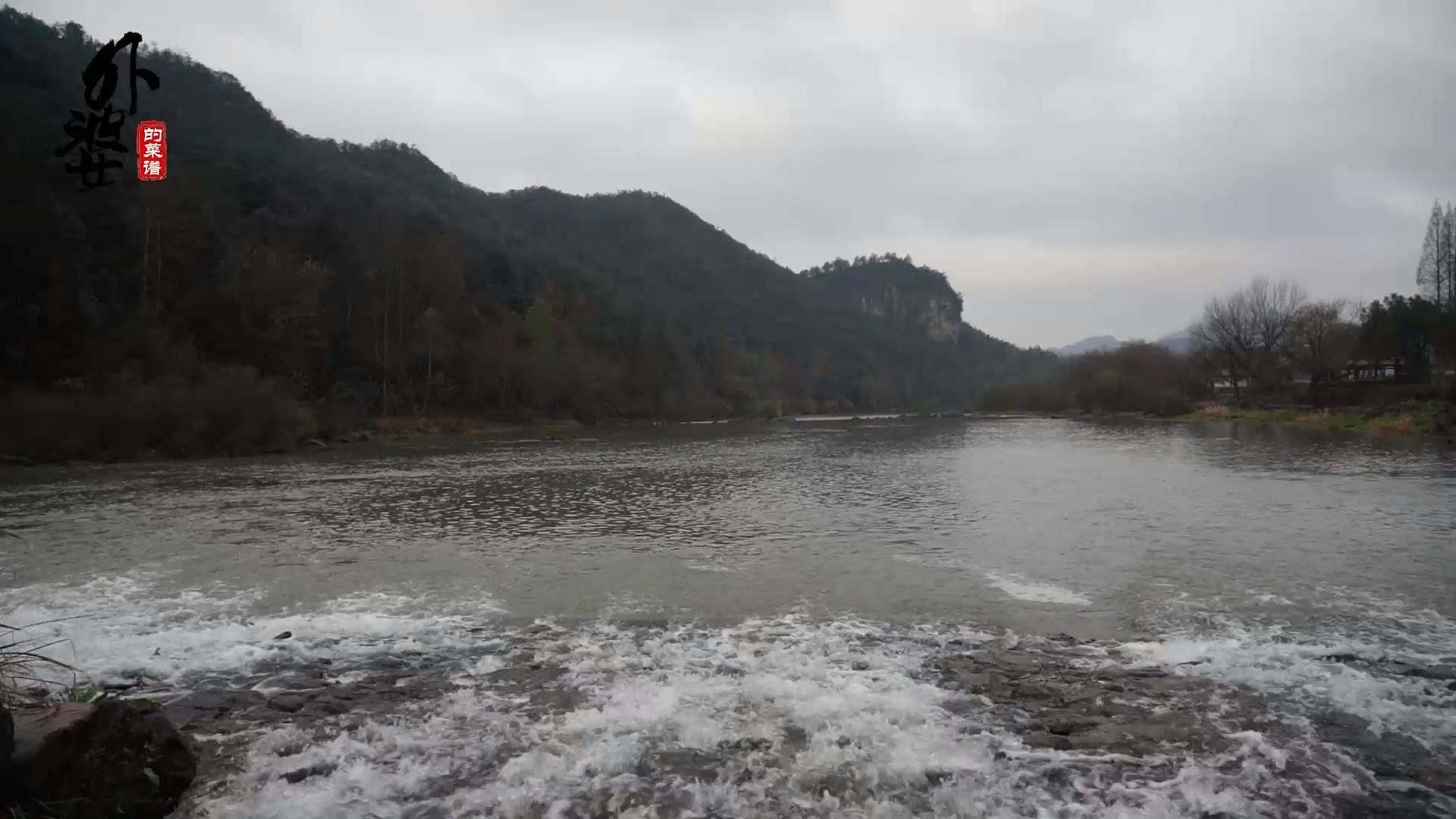 稻田养殖泥鳅技术视频_视频养殖稻田泥鳅技术大全_视频养殖稻田泥鳅技术教程