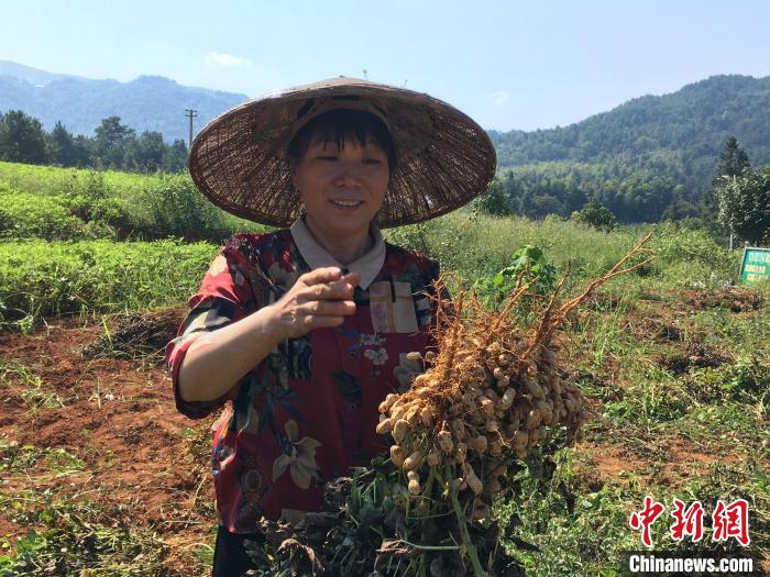 致富经养草鱼一年提升50_致富经大山养草鱼_山上养草鱼
