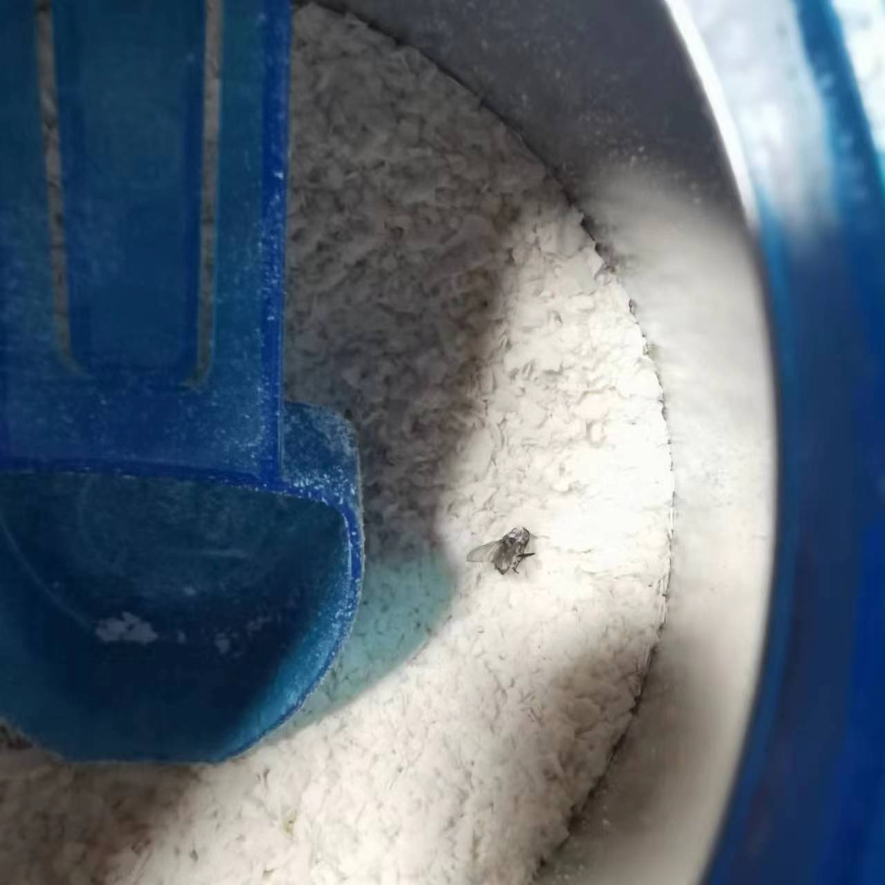 嘉宝果树种植技术视频_嘉宝果树苗种植_嘉宝果树施肥视频