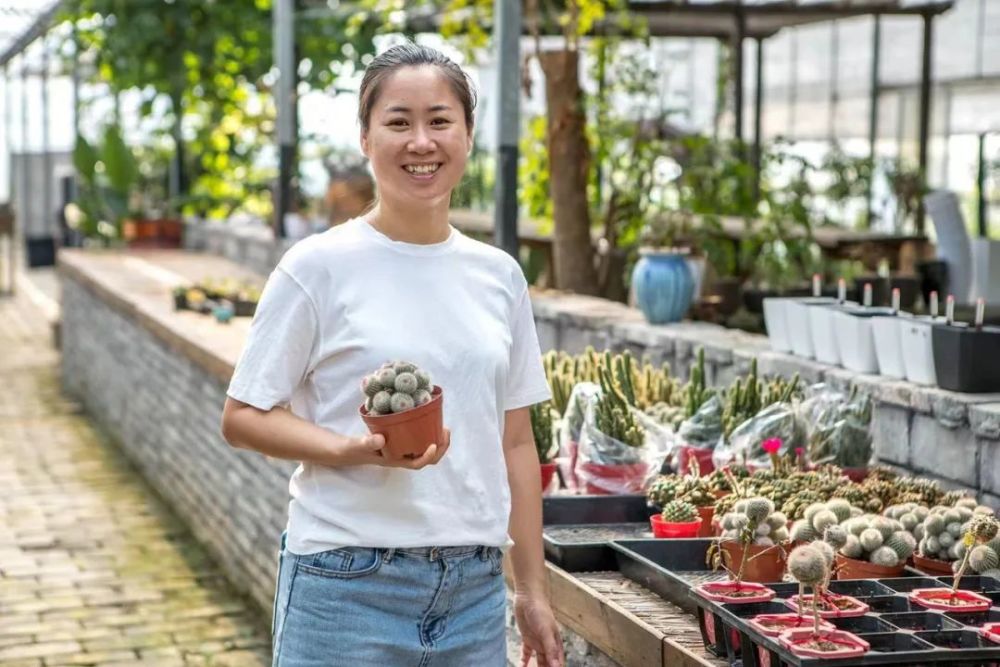 新闻致富种植杨梅视频_杨梅种植致富新闻_种植杨梅前景如何