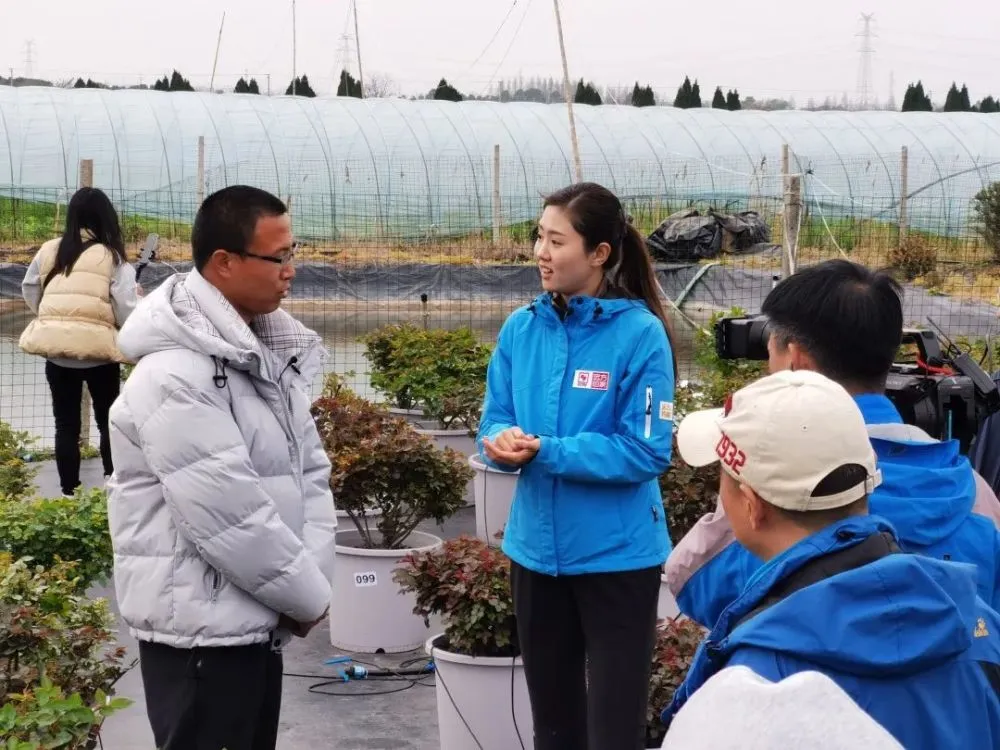 种植杨梅前景如何_杨梅种植致富新闻_新闻致富种植杨梅视频