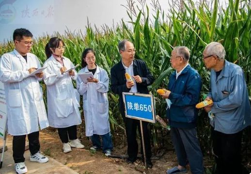 致富种植记录怎么写_致富种植视频全集_种植致富记录