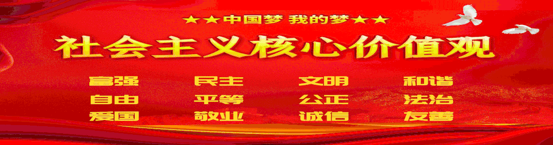 黑蜂的养殖技术视频_养蜂视频播放_养蜂养殖技术视频播放