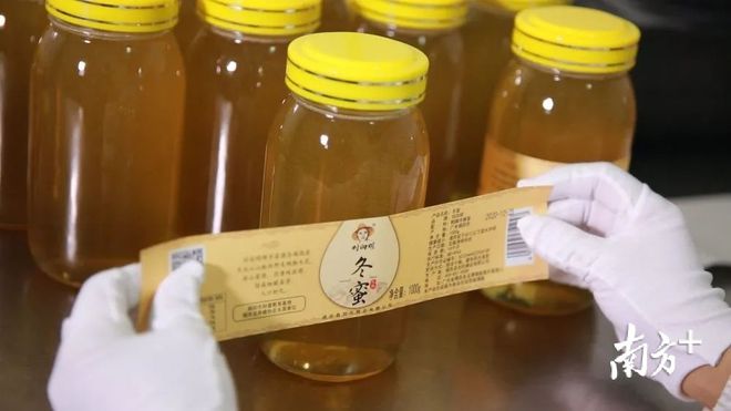 致富养殖养蜂赚钱吗_养蜂养殖致富_养蜂致富一年收入500万