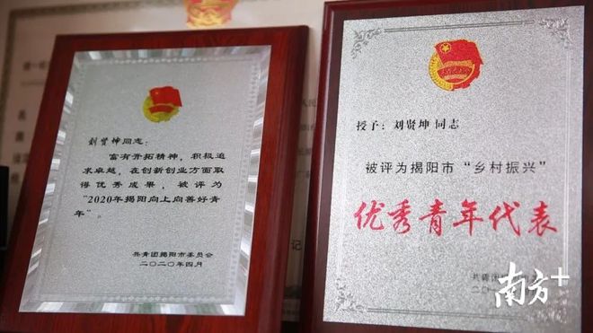 养蜂致富一年收入500万_养蜂养殖致富_致富养殖养蜂赚钱吗