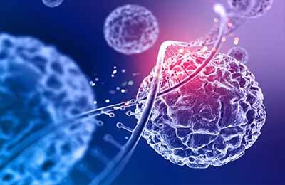 草鱼生物学特点及池塘养殖技术