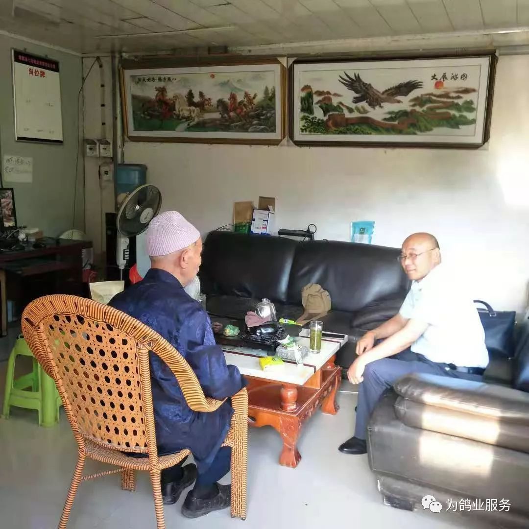 致富经观赏鸽养殖视频_致富经桶养鸽子_致富经养鸽