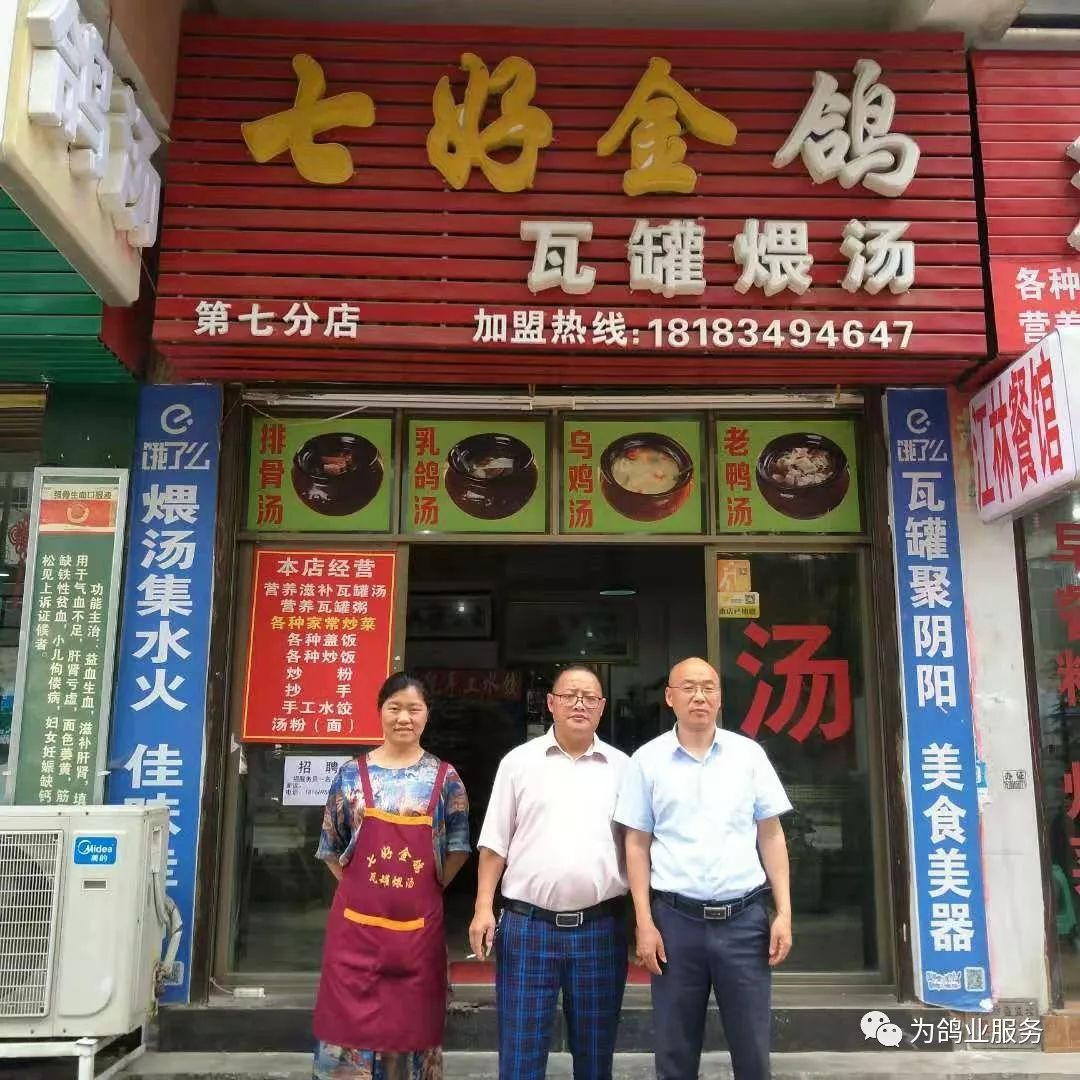 致富经养鸽_致富经观赏鸽养殖视频_致富经桶养鸽子