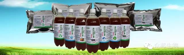 北方泥鳅养殖技术_北方泥鳅鱼的养殖技术_养殖北方泥鳅技术要点