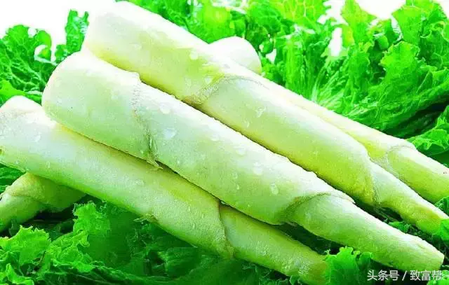 他种植的这种蔬菜，一年双季，亩均年收益超三万！