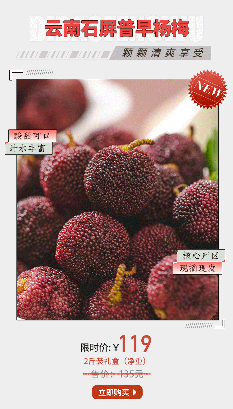 杨梅种植致富新闻_杨梅种植新技术_新闻致富种植杨梅视频