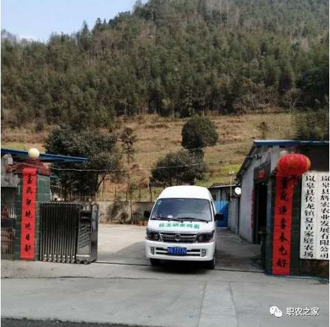 林下土鸡养殖技术_林下土鸡养殖技术视频_林地散养土鸡