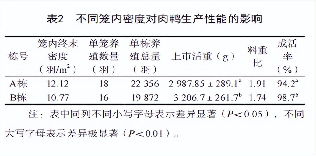 肉鸭养殖视频肉鸭养殖技术_肉鸭养殖技术网_2021年肉鸭养殖前景如何