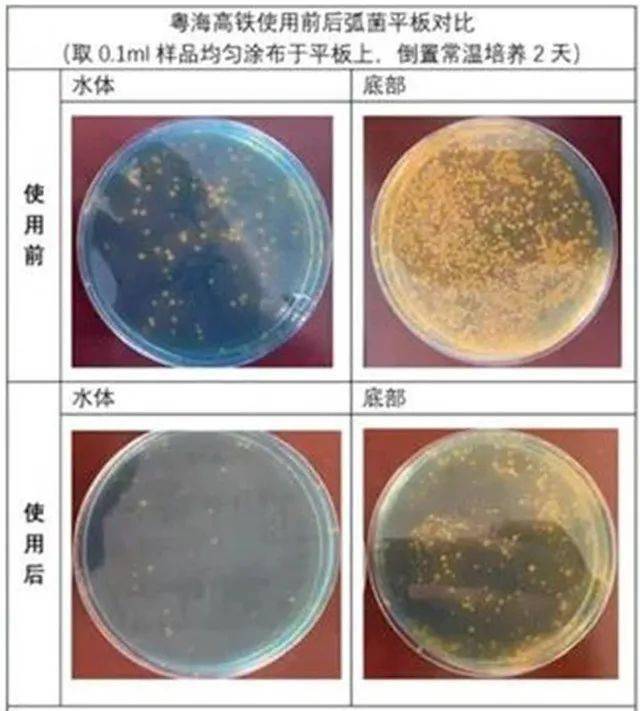 致富虾养殖_致富经淡水虾养殖视频_致富经养殖虾