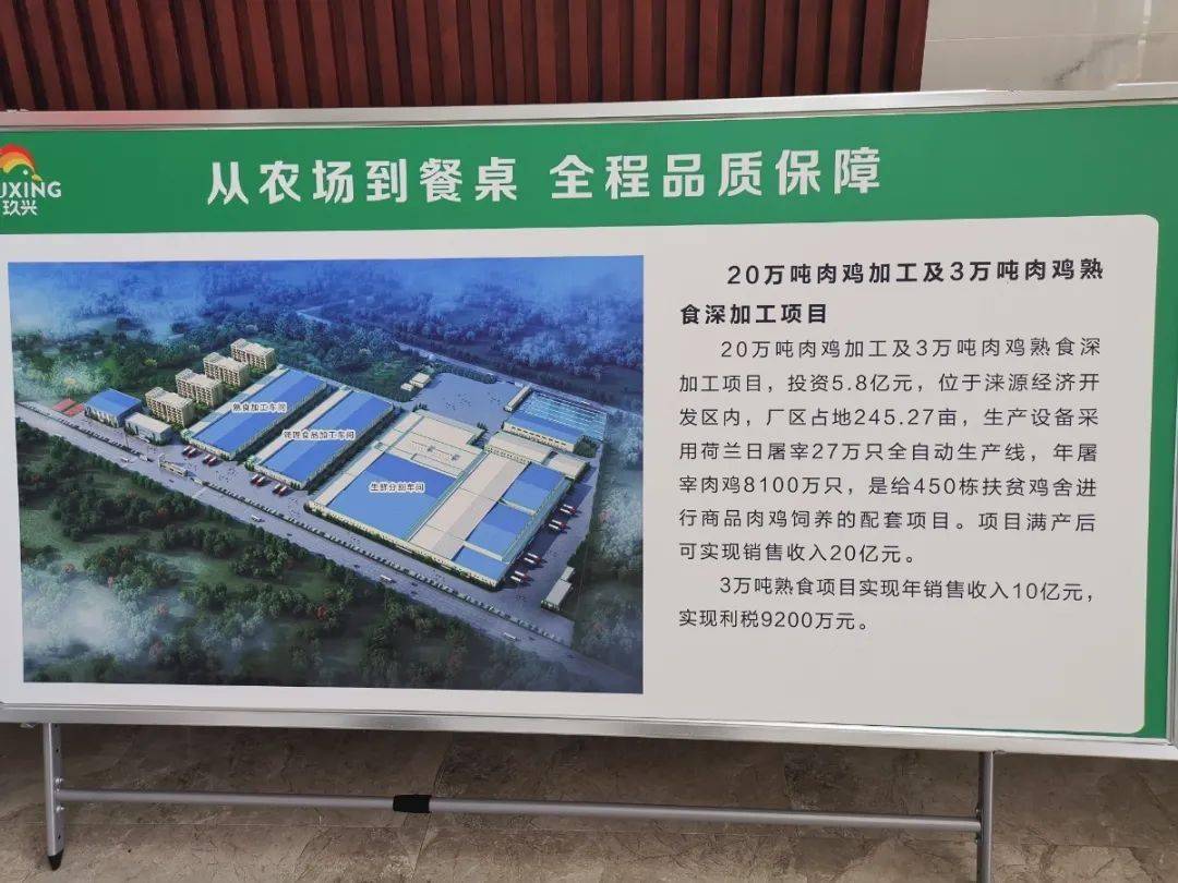 深山致富鸡养殖_致富养殖深山鸡怎么样_农村创业养殖山鸡