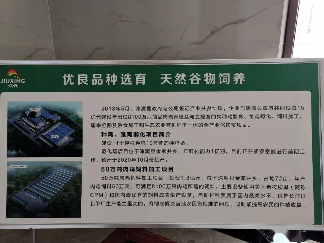 农村创业养殖山鸡_致富养殖深山鸡怎么样_深山致富鸡养殖