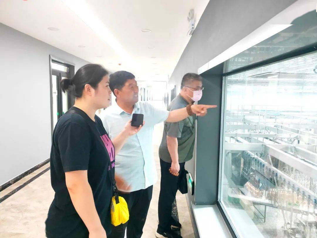 农村创业养殖山鸡_深山致富鸡养殖_致富养殖深山鸡怎么样