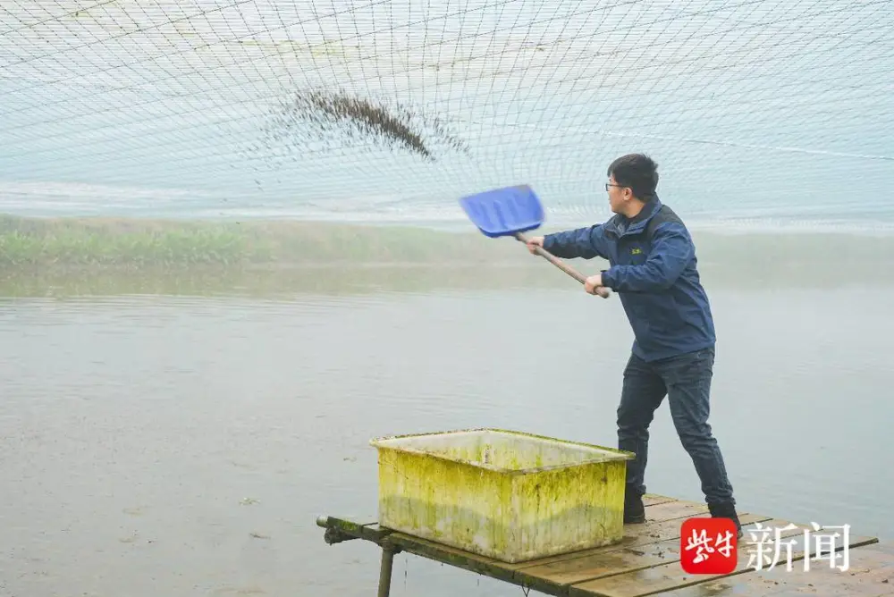 养殖黑鱼的前景与利润_致富养殖黑鱼怎么样_黑鱼养殖致富