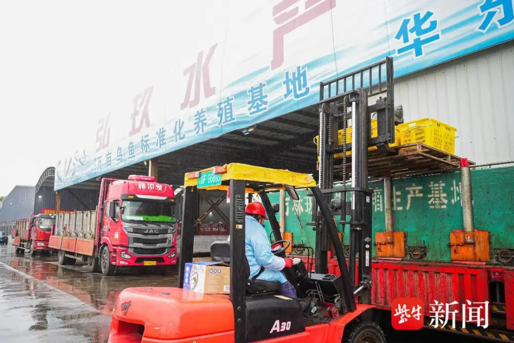 养殖黑鱼的前景与利润_黑鱼养殖致富_致富养殖黑鱼怎么样
