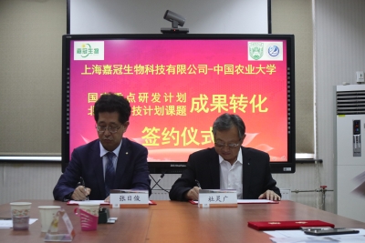 火鸡的养殖新技术_养殖火鸡技术新闻_养殖火鸡技术新进展