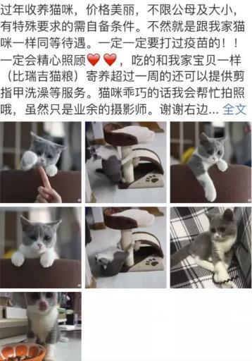 致富养殖宠物项目怎么样_致富养殖宠物项目有哪些_养殖宠物致富项目
