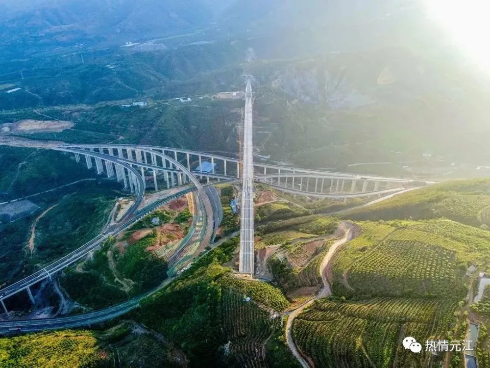 当归药材种植_当归种植前景_当归种植致富项目