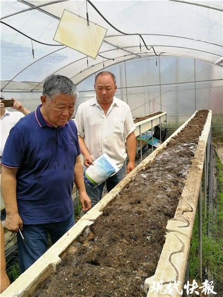 农民种植致富新技术_致富种植农民技术新闻报道_农民致富种植项目