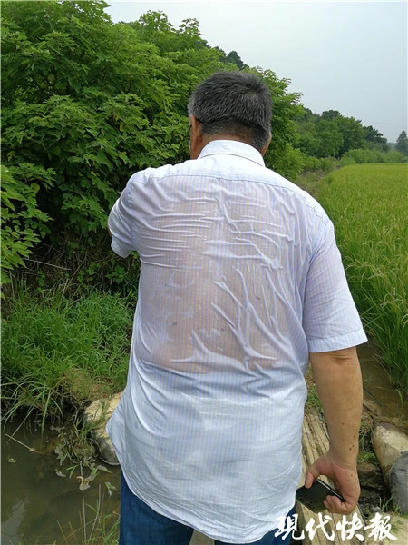 农民致富种植项目_致富种植农民技术新闻报道_农民种植致富新技术