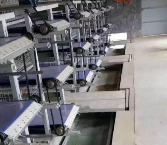 鸭养殖技术看什么书比较好_鸭养殖技术视频_养殖技术鸭