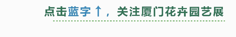 展商预告 | 树葡萄种苗专家——金永鹏