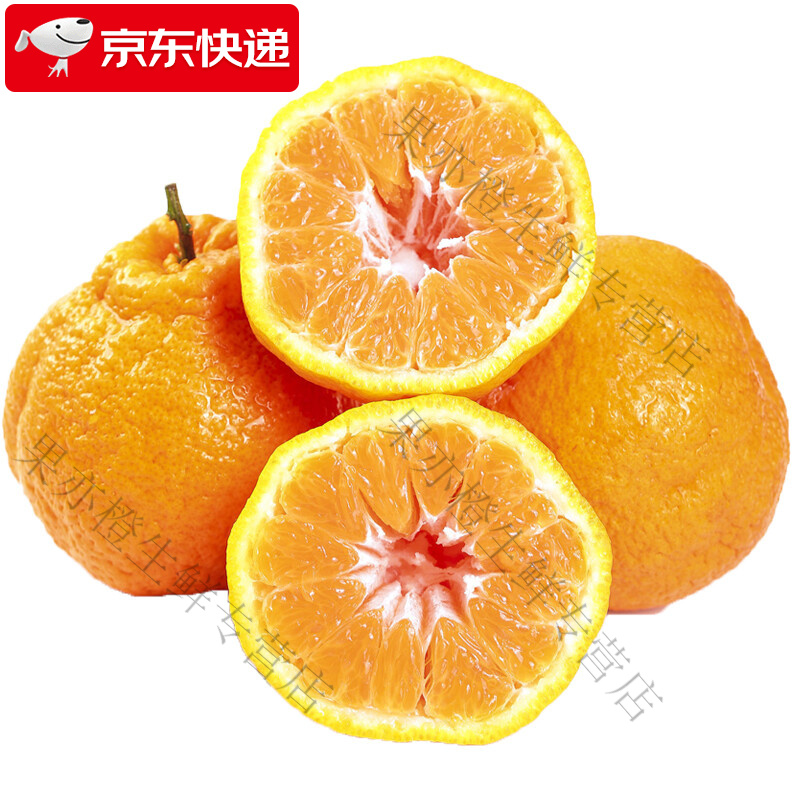 种植椪柑树需要哪些技术_杷杷柑种植技术视频_椪柑种植技术视频