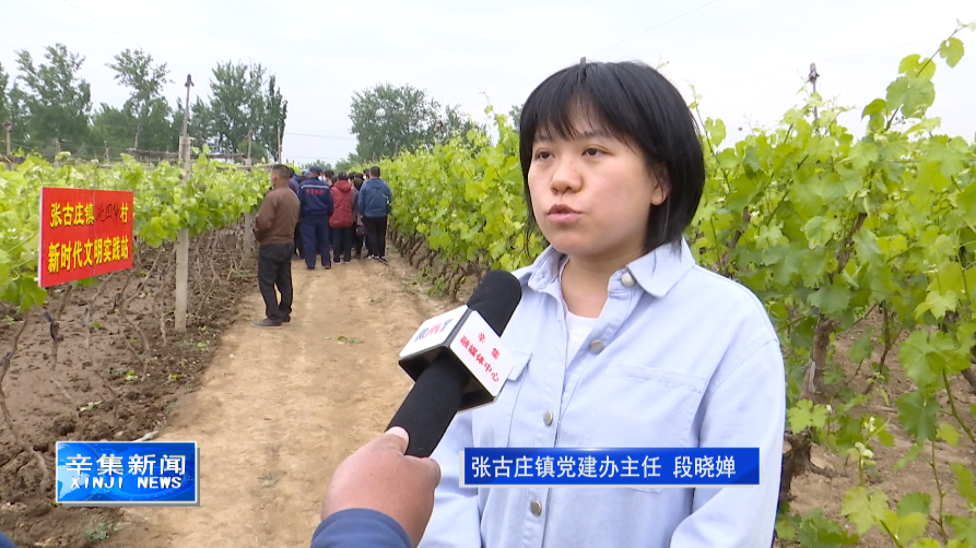 致富种植葡萄靠什么挣钱_种植葡萄收益怎么样_靠种植葡萄致富