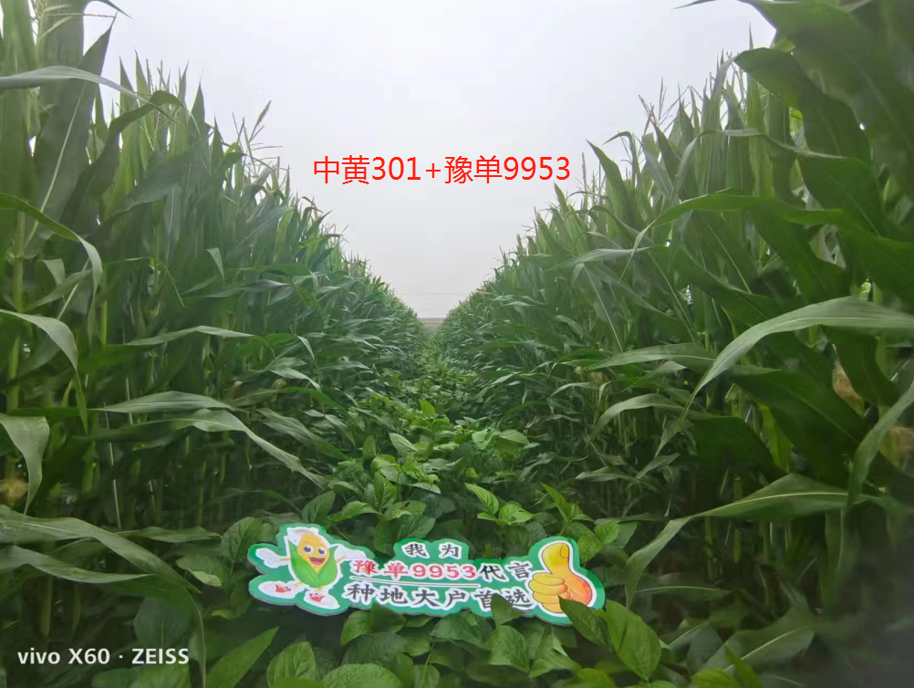 种植养殖行业网_种植 养殖技术网站_种植养殖创业网