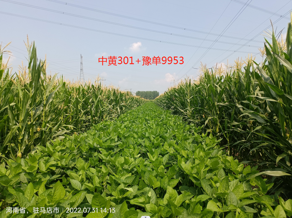 种植养殖行业网_种植养殖创业网_种植 养殖技术网站