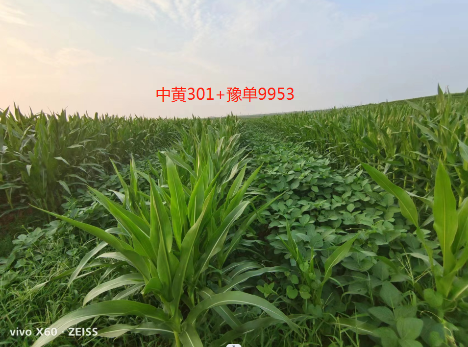 种植 养殖技术网站_种植养殖行业网_种植养殖创业网